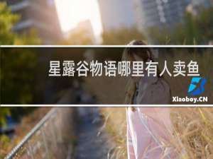 星露谷物语哪里有人卖鱼