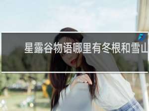 星露谷物语哪里有冬根和雪山