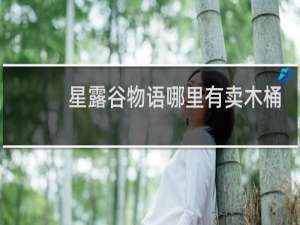 星露谷物语哪里有卖木桶