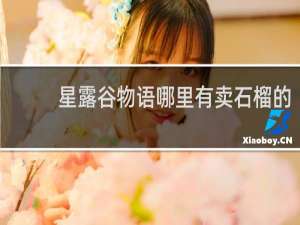 星露谷物语哪里有卖石榴的