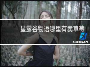 星露谷物语哪里有卖草莓