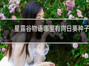 星露谷物语哪里有向日葵种子