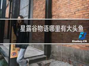 星露谷物语哪里有大头鱼