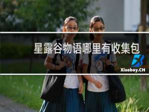 星露谷物语哪里有收集包