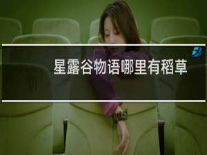 星露谷物语哪里有稻草