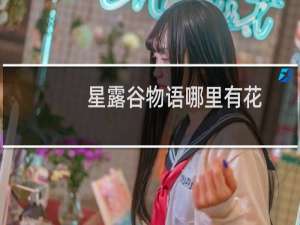 星露谷物语哪里有花
