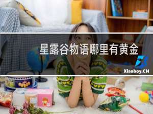 星露谷物语哪里有黄金