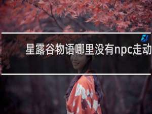 星露谷物语哪里没有npc走动