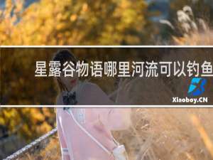 星露谷物语哪里河流可以钓鱼