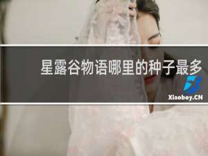 星露谷物语哪里的种子最多