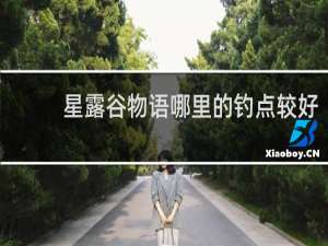 星露谷物语哪里的钓点较好