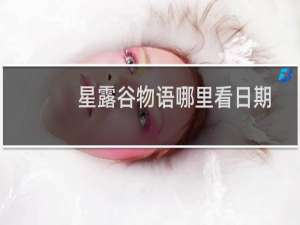 星露谷物语哪里看日期