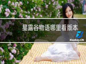 星露谷物语哪里看版本