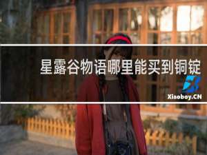 星露谷物语哪里能买到铜锭