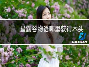 星露谷物语哪里获得木头