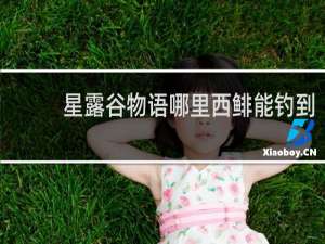 星露谷物语哪里西鲱能钓到