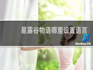 星露谷物语哪里设置语言