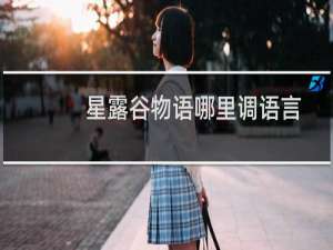 星露谷物语哪里调语言
