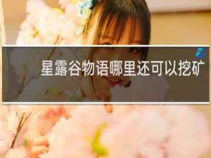 星露谷物语哪里还可以挖矿
