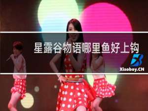 星露谷物语哪里鱼好上钩