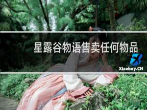 星露谷物语售卖任何物品