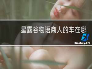 星露谷物语商人的车在哪