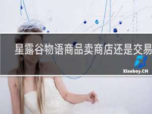 星露谷物语商品卖商店还是交易箱