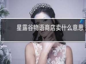 星露谷物语商店卖什么意思