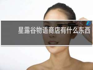 星露谷物语商店有什么东西