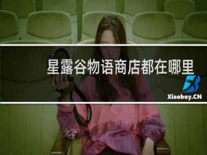 星露谷物语商店都在哪里