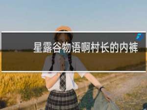 星露谷物语啊村长的内裤