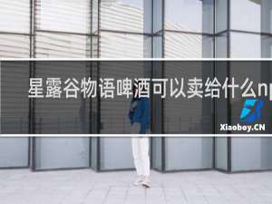 星露谷物语啤酒可以卖给什么npc