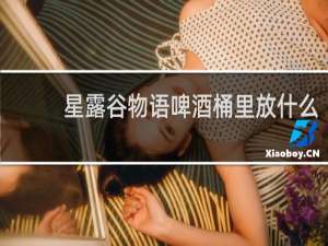 星露谷物语啤酒桶里放什么
