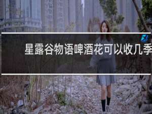 星露谷物语啤酒花可以收几季