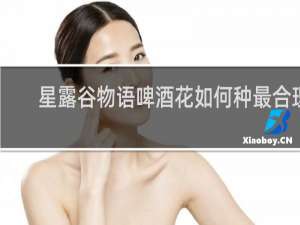 星露谷物语啤酒花如何种最合理