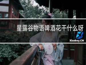 星露谷物语啤酒花干什么呀