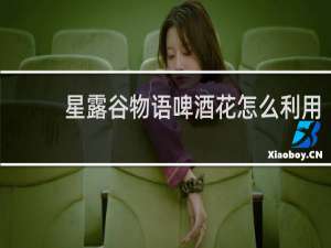 星露谷物语啤酒花怎么利用