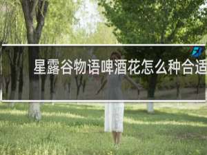 星露谷物语啤酒花怎么种合适