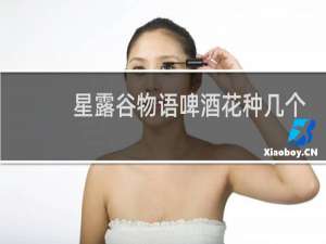 星露谷物语啤酒花种几个