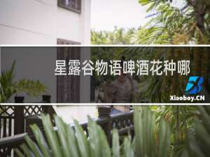 星露谷物语啤酒花种哪
