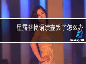 星露谷物语喷壶丢了怎么办