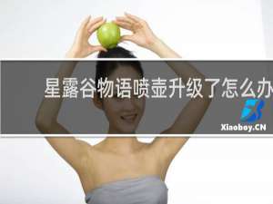 星露谷物语喷壶升级了怎么办