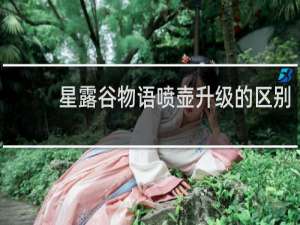 星露谷物语喷壶升级的区别