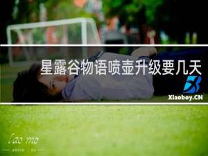 星露谷物语喷壶升级要几天