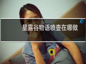 星露谷物语喷壶在哪做