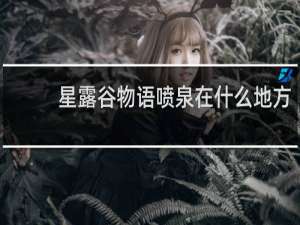 星露谷物语喷泉在什么地方