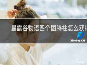 星露谷物语四个图腾柱怎么获得
