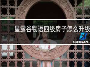 星露谷物语四级房子怎么升级