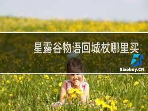 星露谷物语回城杖哪里买