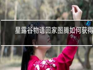 星露谷物语回家图腾如何获得